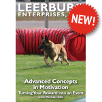 Advanced Concepts in Motivation with Michael Ellis
