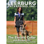 The Electric Collar with Michael Ellis