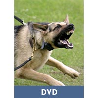 Dealing with Dominant and Aggressive Dogs