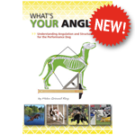 Whats Your Angle eBook