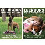 Bringing Your Puppy into Your Home DVD Set