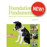 Foundation Fundamentals 6-DVD Set