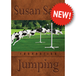 Foundation Jumping 4-DVD Set