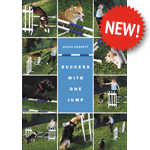 Success with One Jump 2-DVD Set