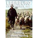 Training Sheep Herding Dogs with Karl Fuller