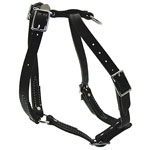 Light Leather Harness - Black