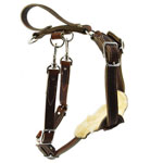 2 Snap Agitation Harness with Handle