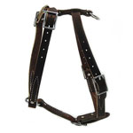 Light Leather Harness - Brown