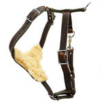 Brown Leather Agitation Harness
