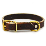 Brown 3/4 in wide Leather Collar