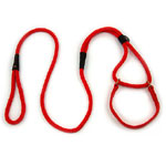 Martingale Lead - 6 ft X 1/2 in