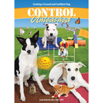 Control Unleashed: A Foundation Seminar 4 DVD Set