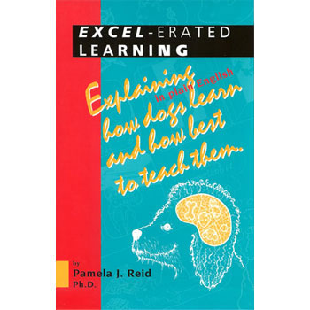 Excel-Erated Learning