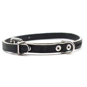 1/2" Leather Puppy Collar