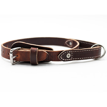 1" Leather Collar with Handle