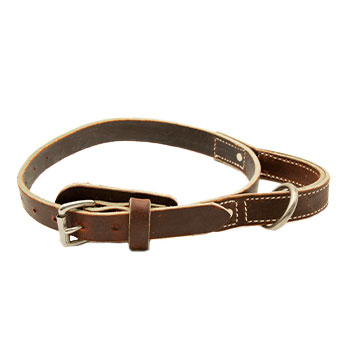 Image of 1" Leather Collar with Handle