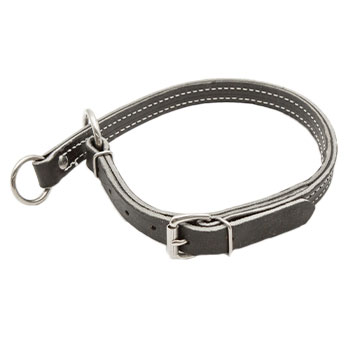 Image of Leather Slip Collar