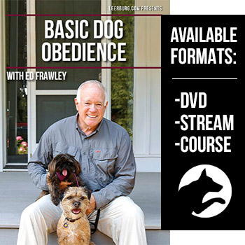 Basic Dog Obedience DVD