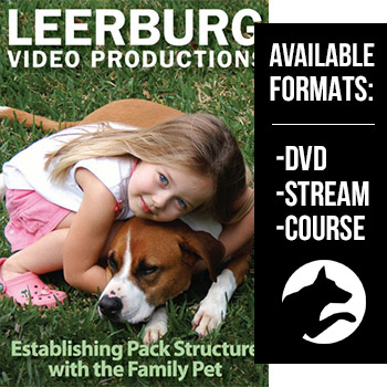 Establishing Pack Structure with the Family Pet