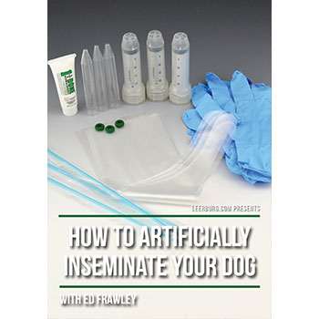 How to Artificially Inseminate Your Dog
