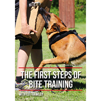 The First Steps of Bite Training