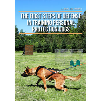 The First Steps of Defense