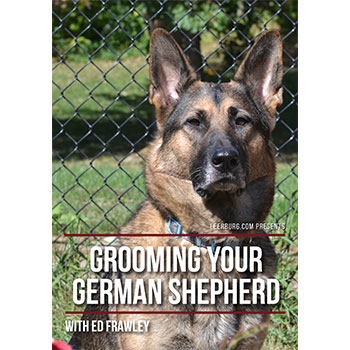 Grooming Your German Shepherd