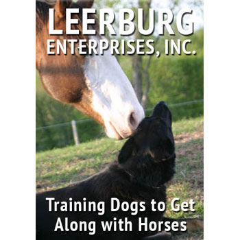 Training Dogs to Get Along with Horses