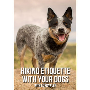 Hiking Etiquette With Your Dogs