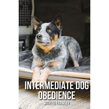Intermediate Dog Obedience DVD