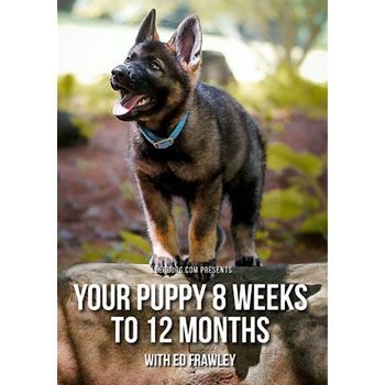 Your Puppy 8 Weeks to 12 Months