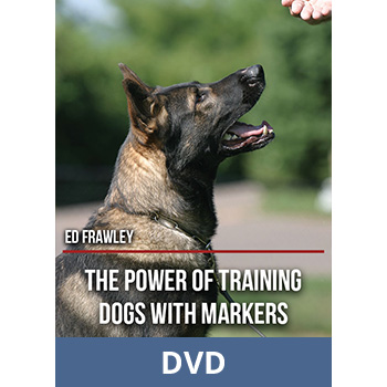 The Power of Training Dogs with Markers