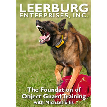 The Foundation of Object Guard Training with Michael Ellis