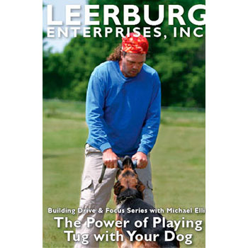 The Power of Playing Tug w/ Your Dog