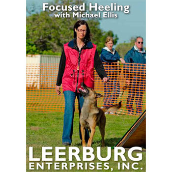 Focused Heeling w/ Michael Ellis