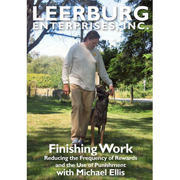 Finishing Work w/ Michael Ellis DVD