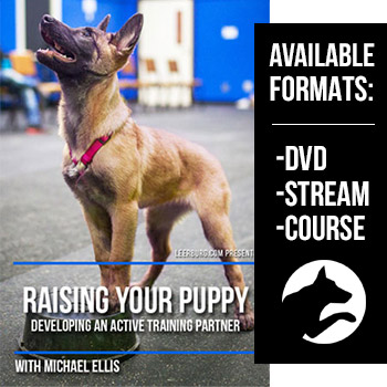 Raising Your Puppy with Michael Ellis