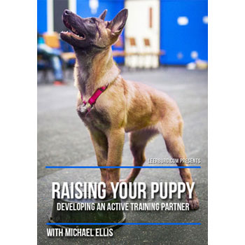 Raising Your Puppy with Michael Ellis