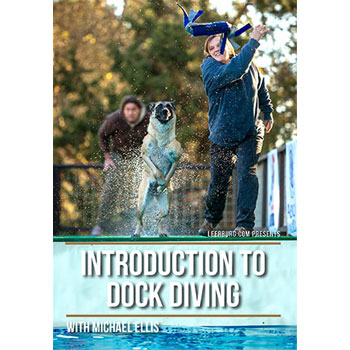 Introduction To Dock Diving with Michael Ellis