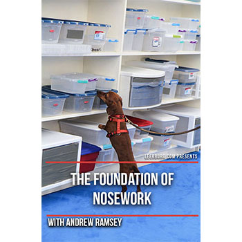 The Foundation of Nosework with Andrew Ramsey