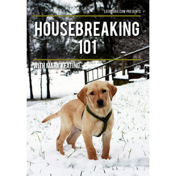 Housebreaking 101 with Mark Keating