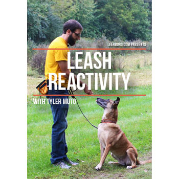 Leash Reactivity with Tyler Muto