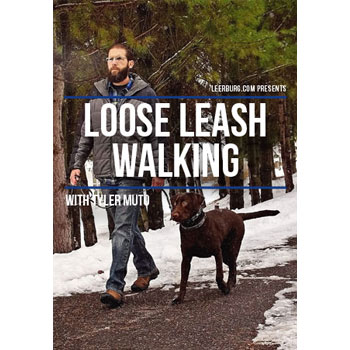 Loose Leash Walking with Tyler Muto