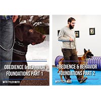 Obedience and Behavior Foundations 2 DVD Set