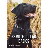 Remote Collar Basics with Josh Moran