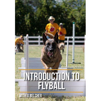 Introduction to Flyball with JJ Belcher