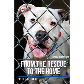 From the Rescue to the Home with JJ Belcher 