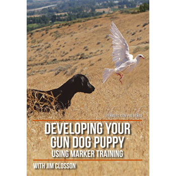 Developing Your Gun Dog Puppy Using Markers with Jim Closson