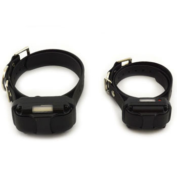 Educator Dummy Collar