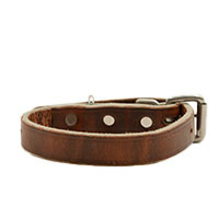 3/4" Leather Collar - DISTRESSED